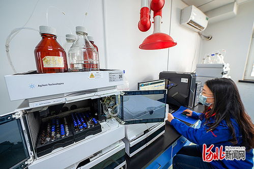 秦皇島 以科技創(chuàng)新為引擎，打造知識(shí)產(chǎn)權(quán)強(qiáng)市典范